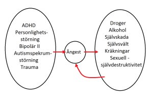 funktionshinder-beteendestörning