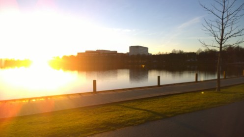 WP_20141125_15_08_35_Pro